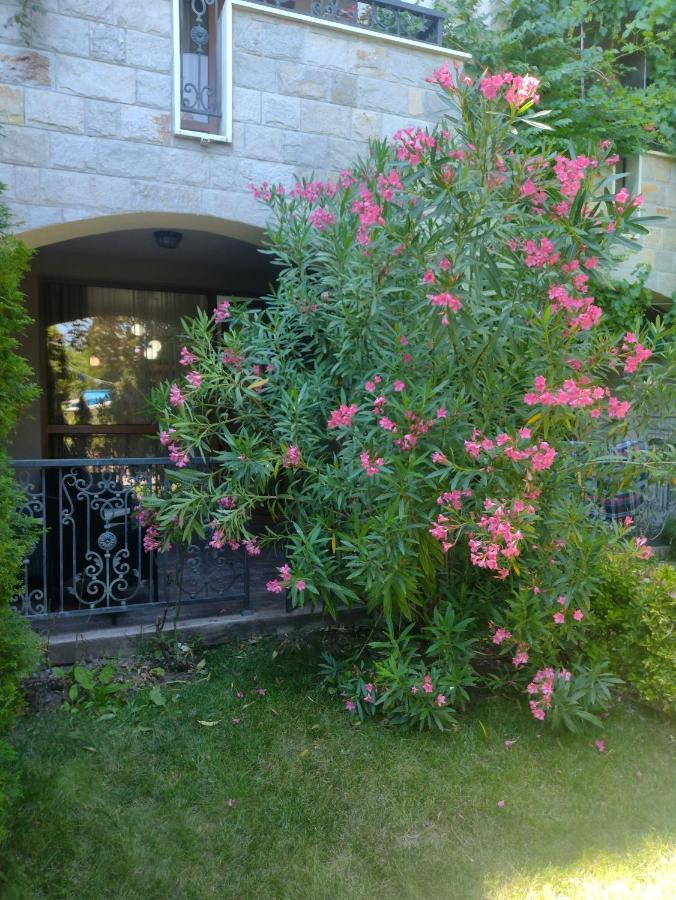 Destination Bulgaria 2000 Cascadas Private Summer Family Apartments 써니비치 외부 사진